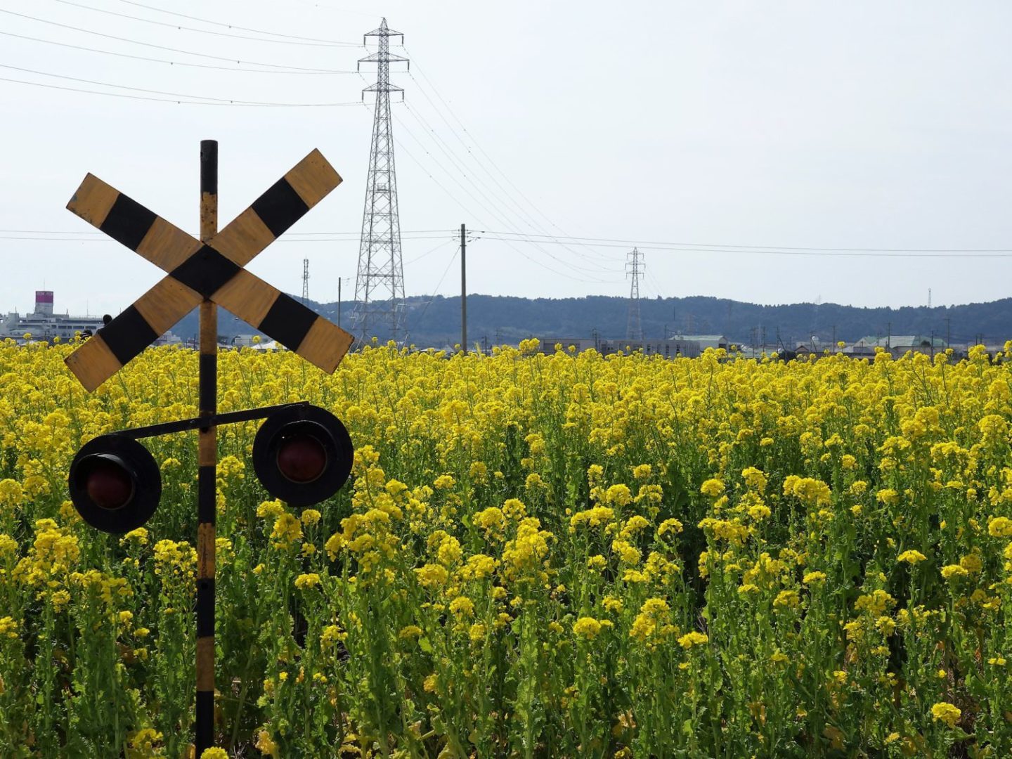 Nanabatake Road, Kamogawa, Chiba Prefecture