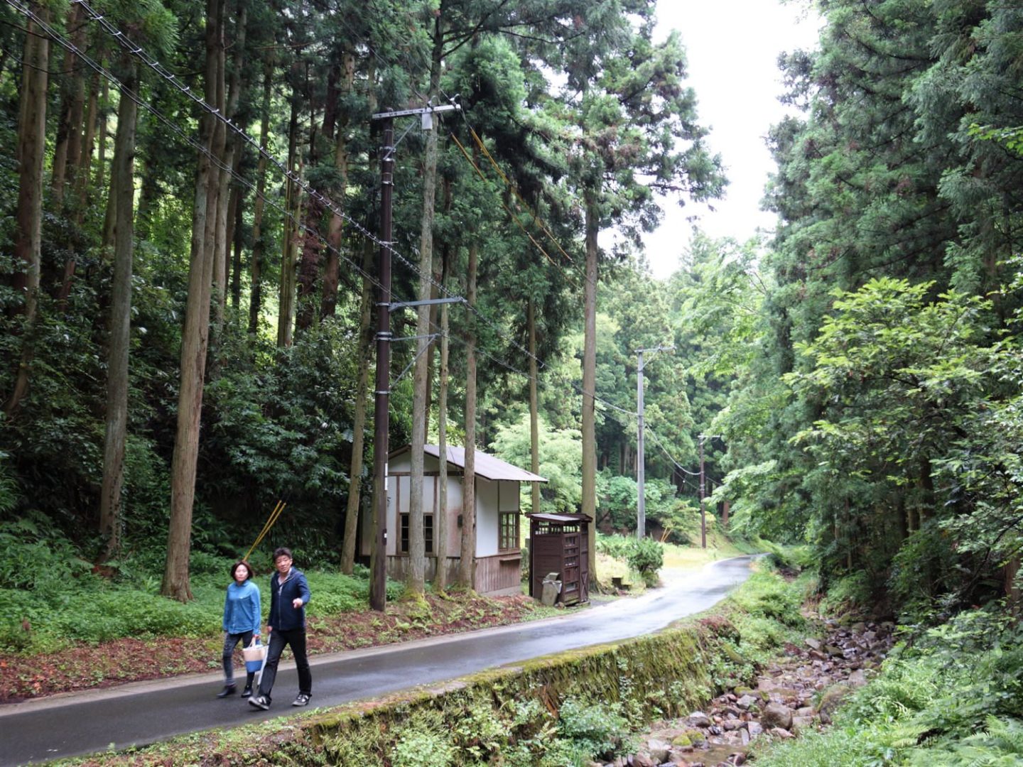 Forest around Ryugenji Mabu Mine Shaft