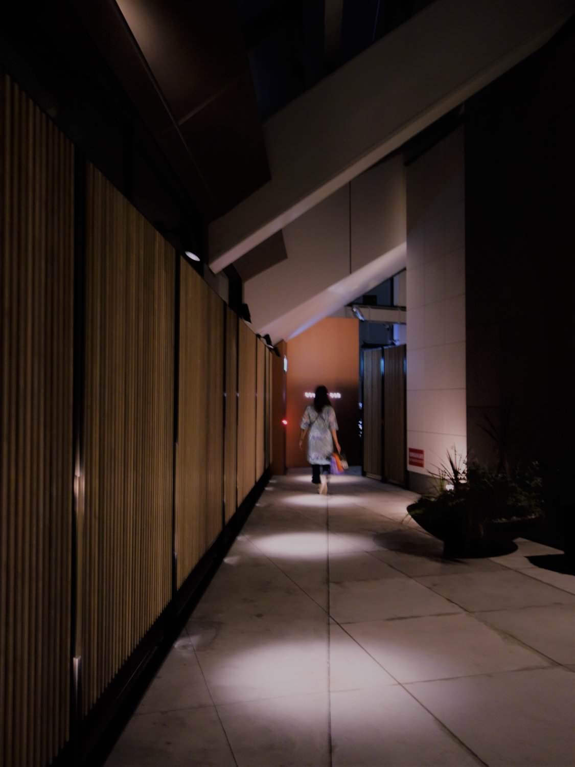 Hallway to Rooftop Bar