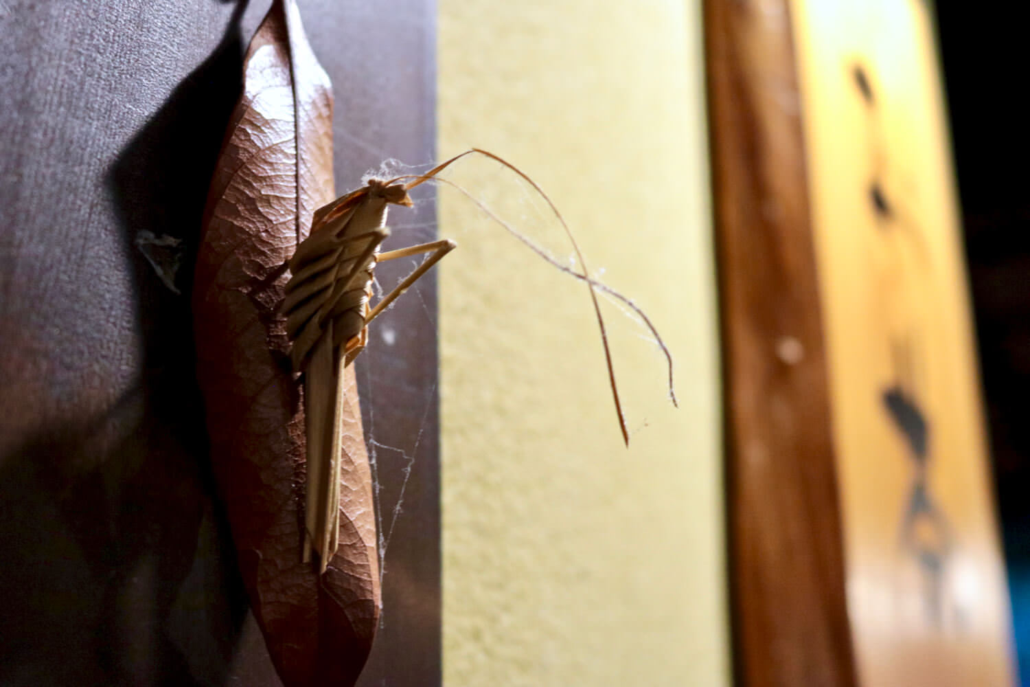 Ornaments displayed at Funabarakan