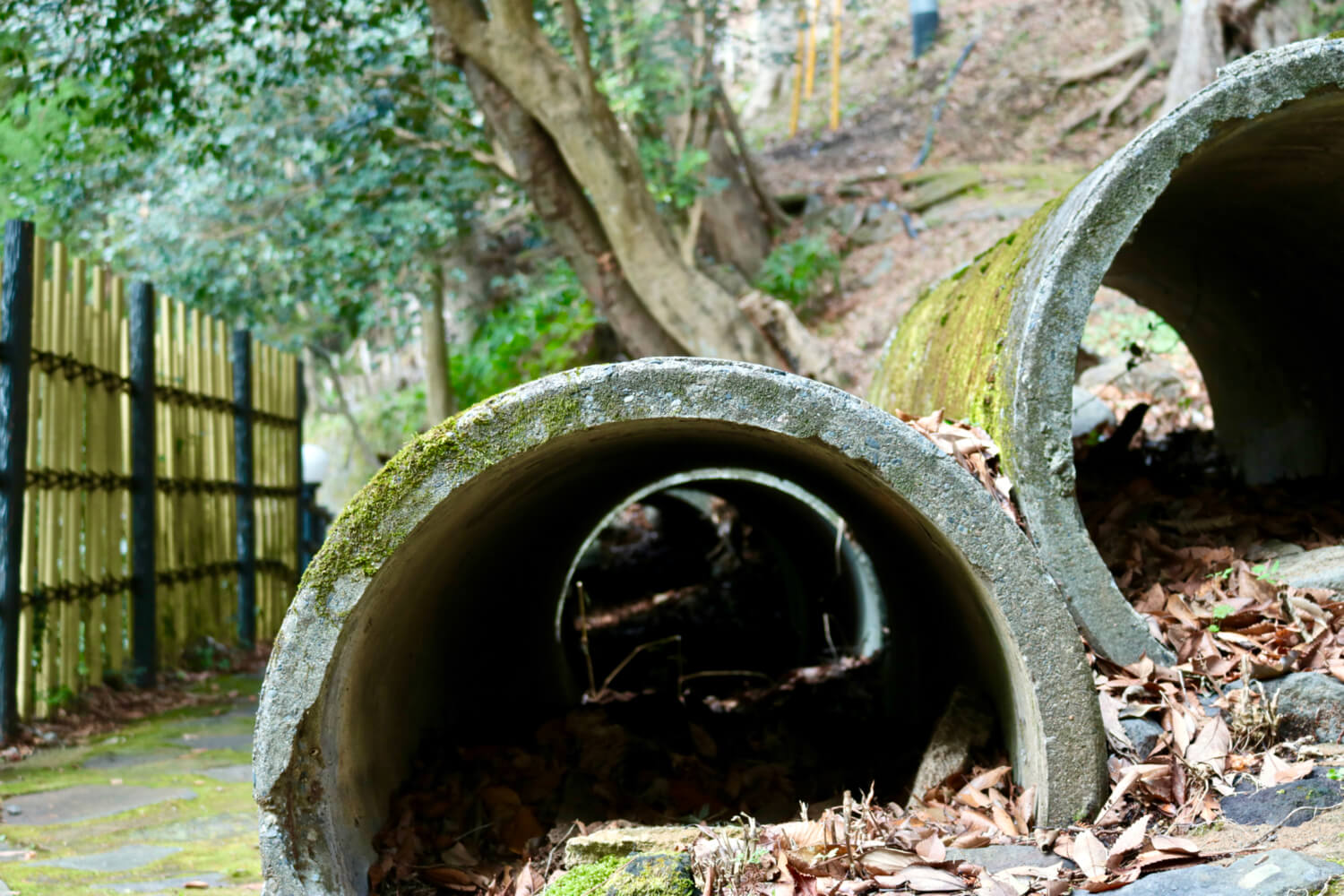 Tunnels found along the Yumichi