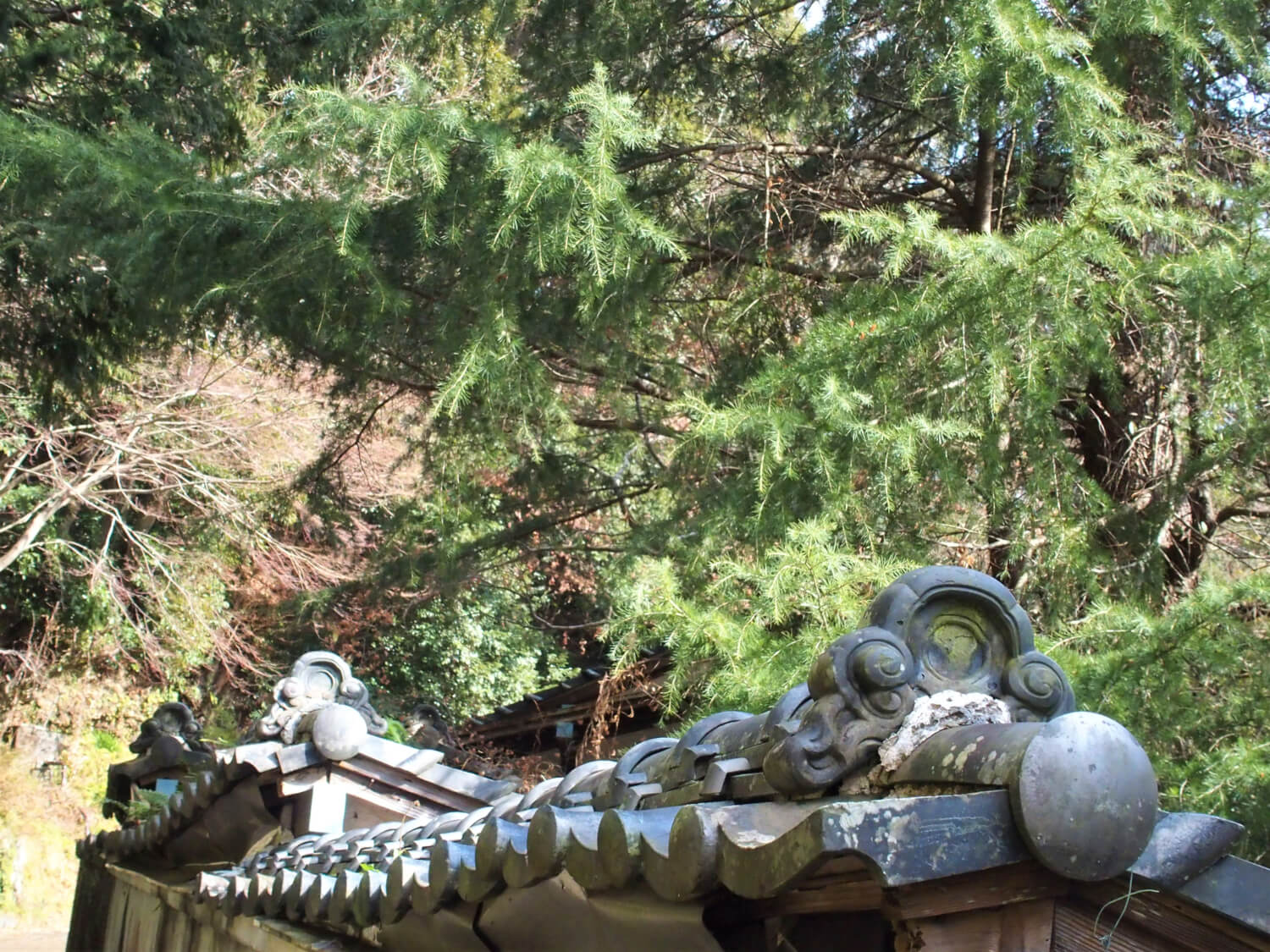 Fence with "kawara" roof