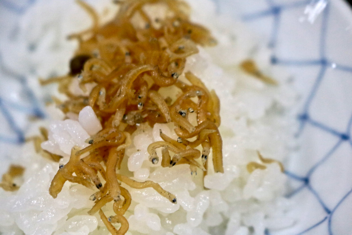 Rice with "jako" dried sardines