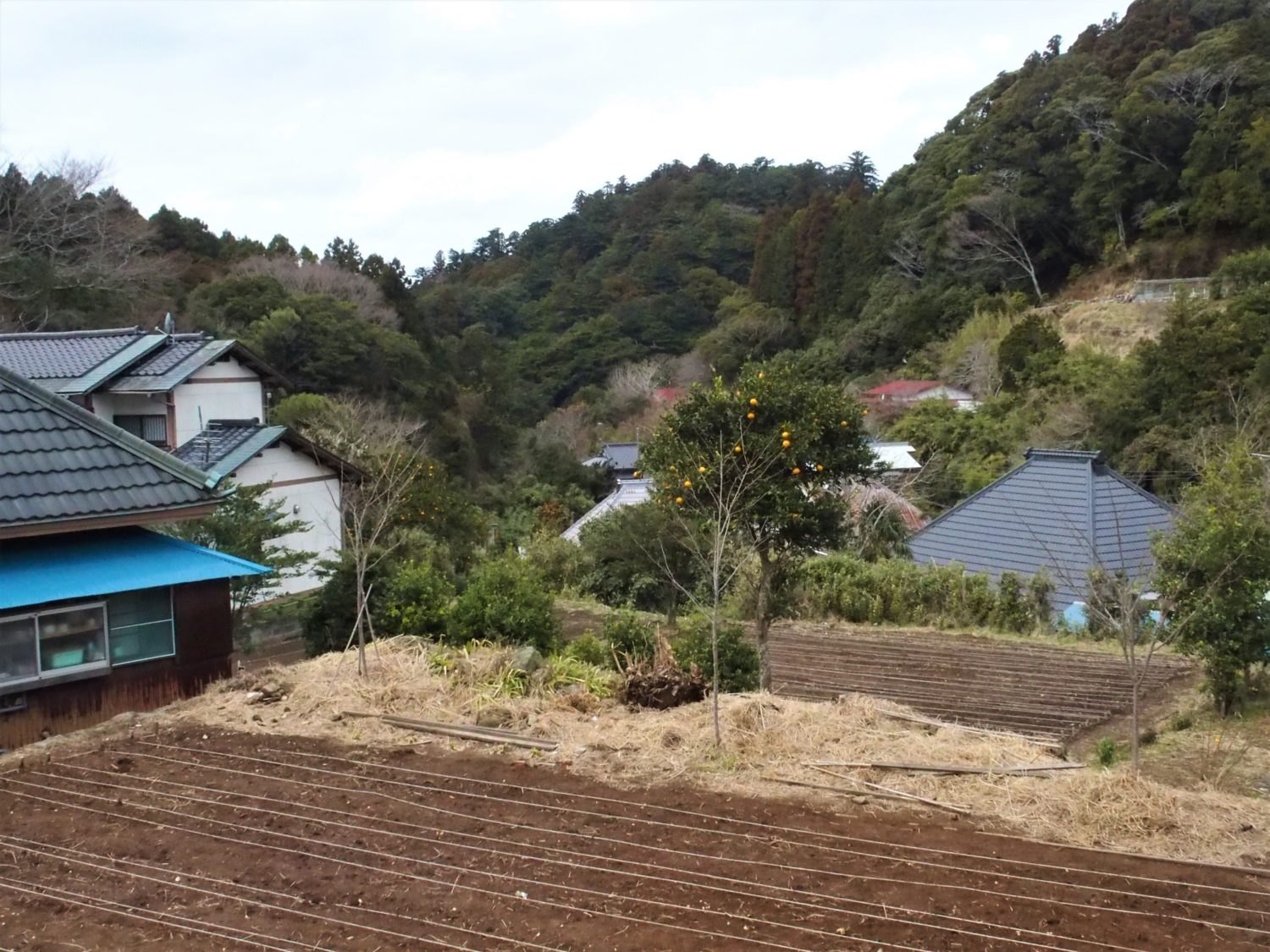 On the way from Awa Amatsu Station to Seichoji Temple