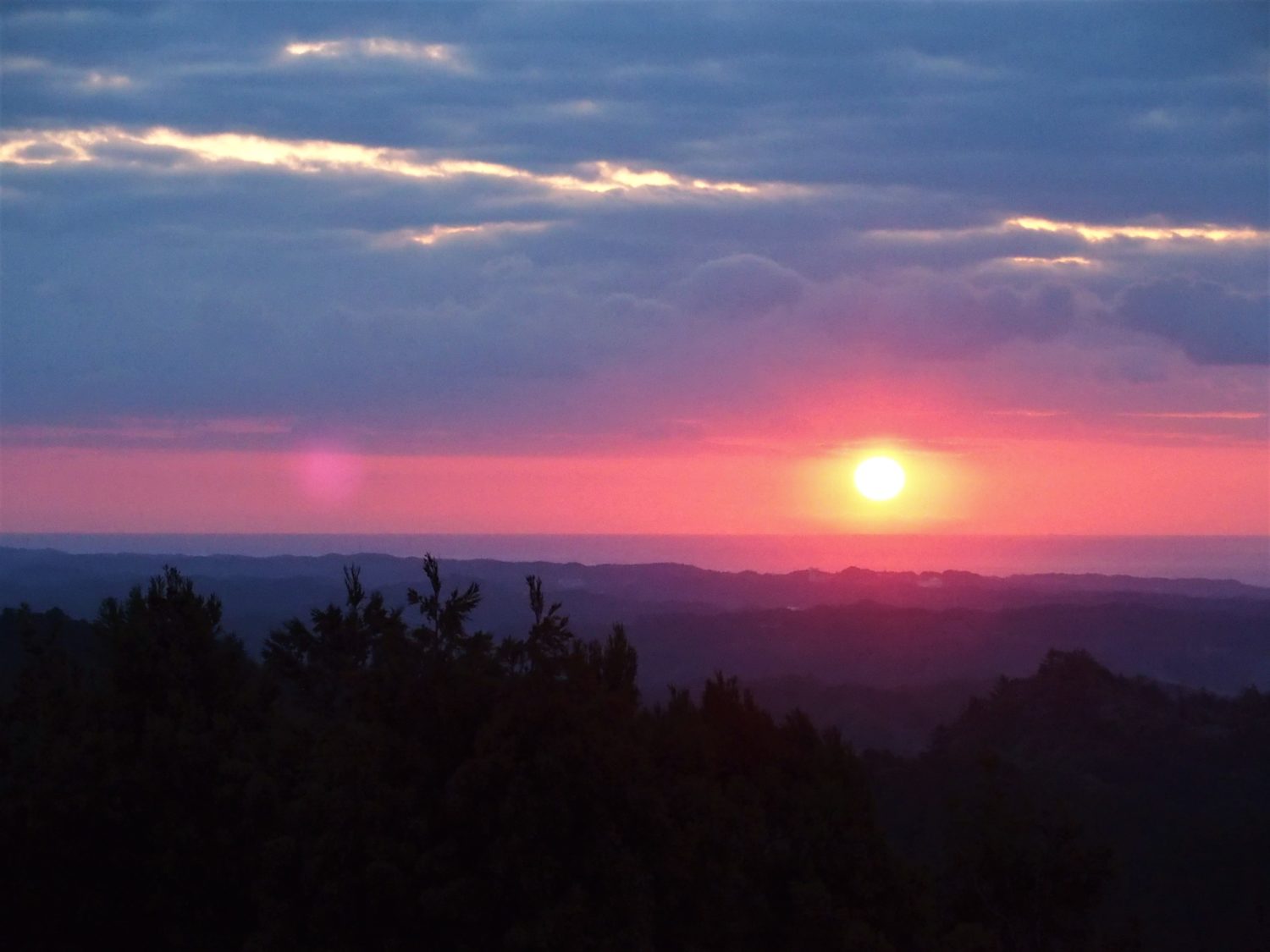 Sunrise at Asahi-Ga-Mori (Sunrise Woods)