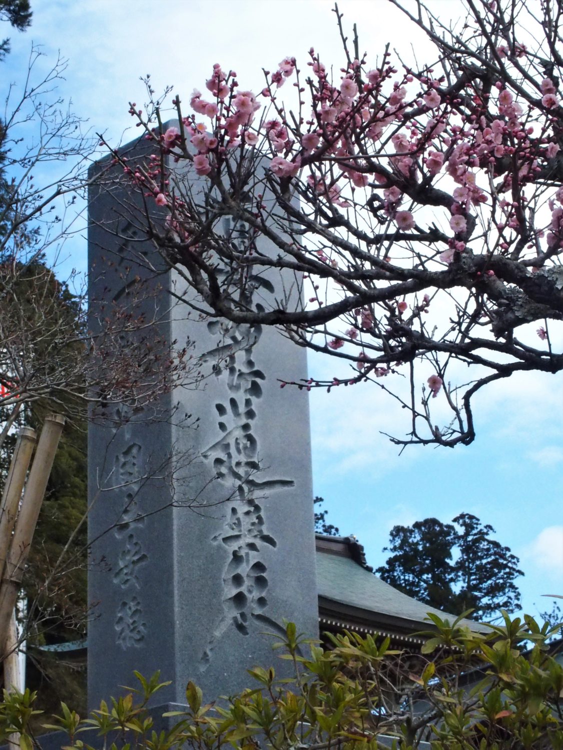 "Ume" plum trees at the entrance of Seichoji Temple