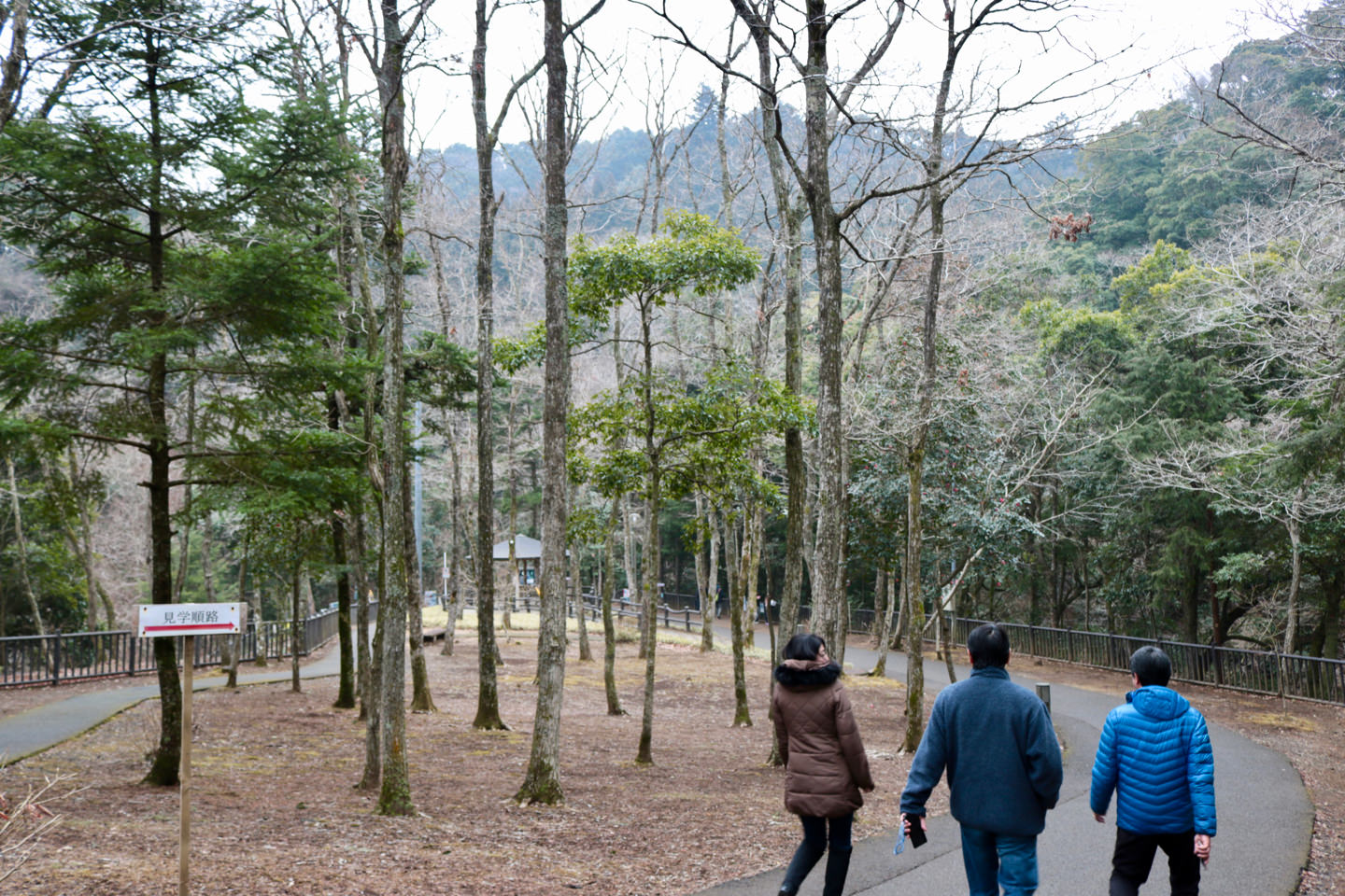 Walking down a path leading to Nomizo Falls