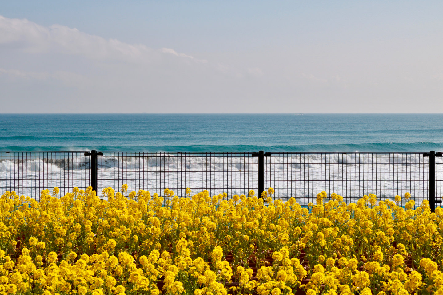 A gorgeous seascape from Kamogawa Sea World