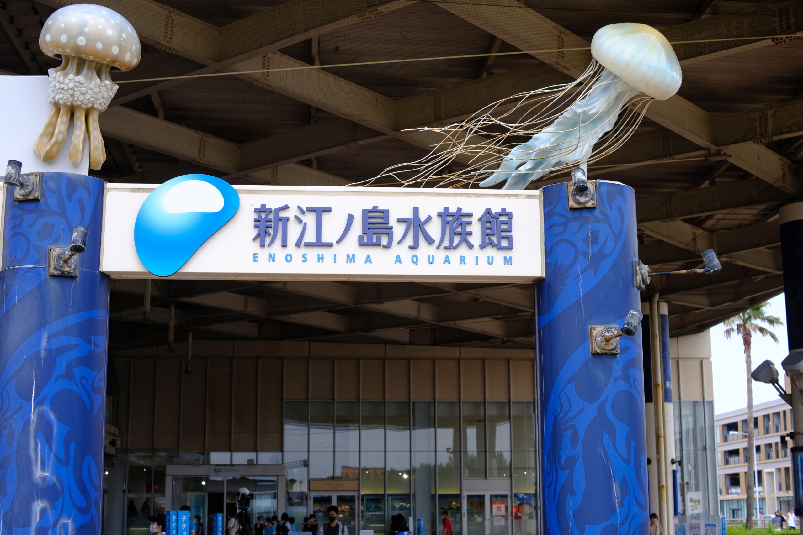 新江ノ島水族館、一部期間はWebから入場予約が必要に | STROLL | お散歩と旅のウェブマガジン