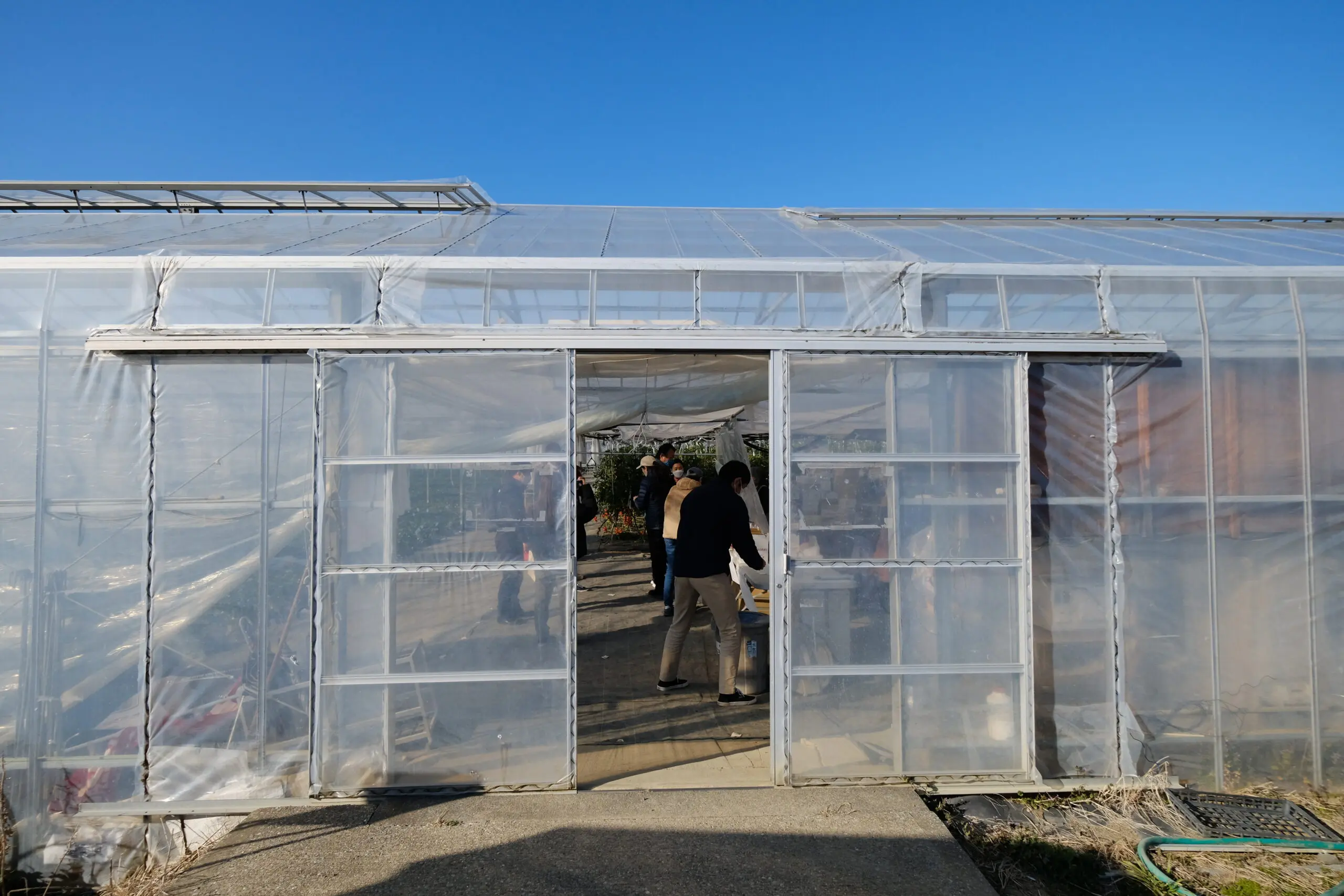Greenhouse at Sato no MUJI Minnami no Sato, where visitors can enjoy picking strawberries and tomatoes