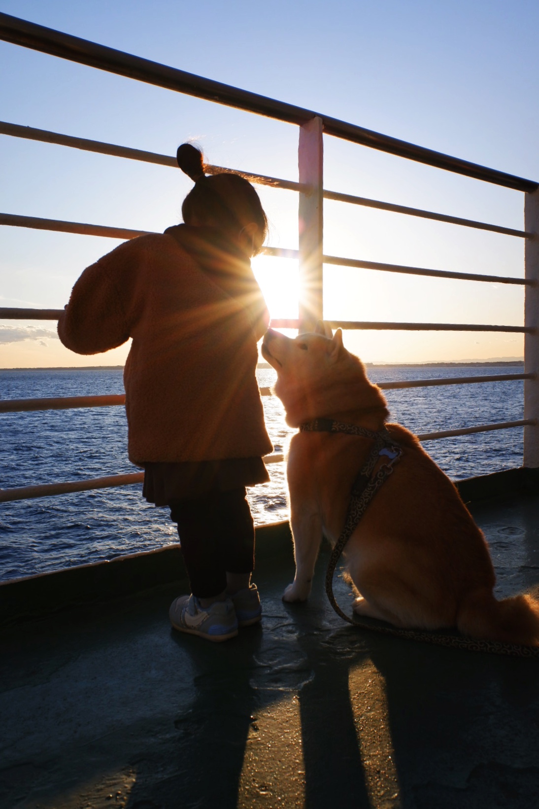 Aboard the Tokyo Wan Ferry