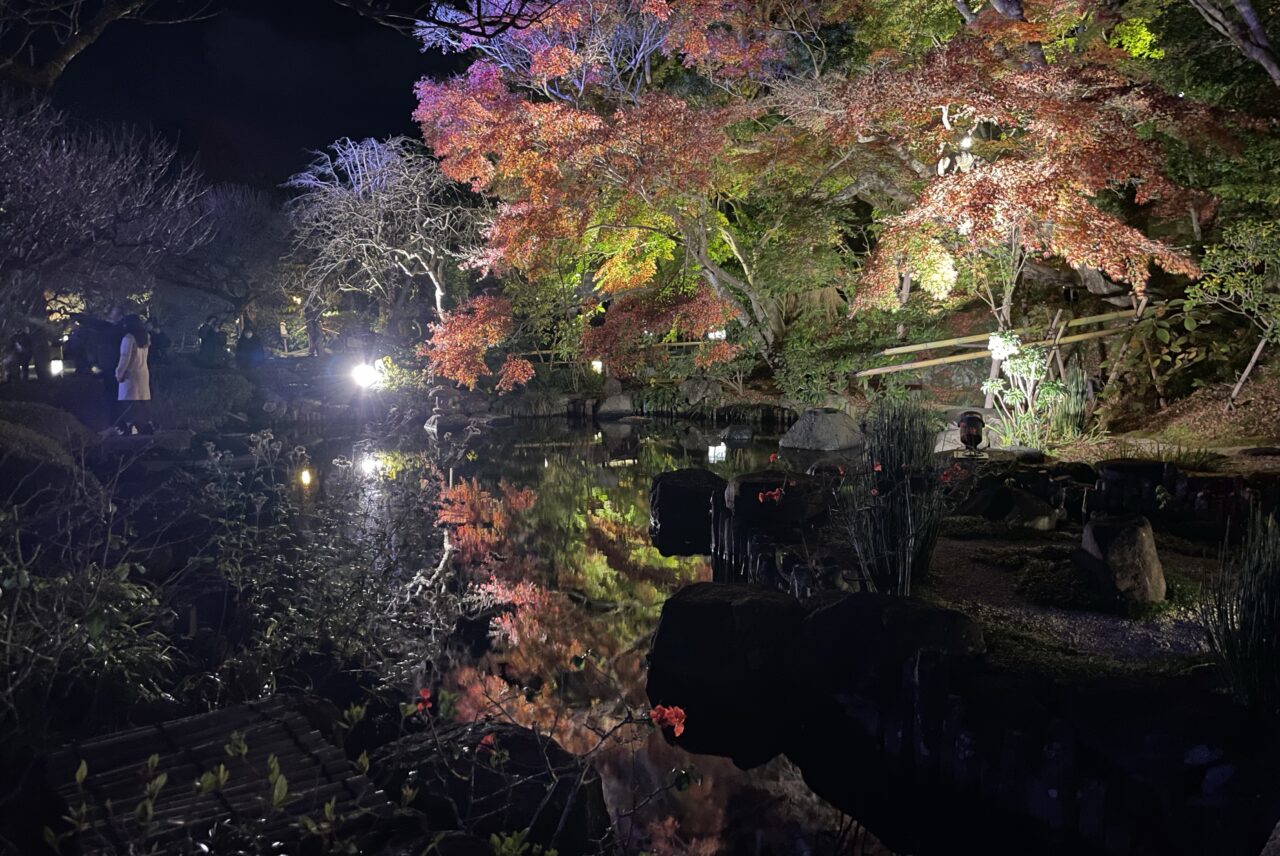 長谷寺の夜間特別拝観でライトアップされた紅葉を愛でてきた
