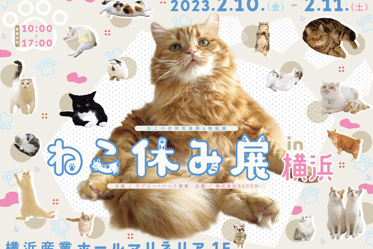 2年ぶりに横浜で猫の祭典「ねこ休み展 2023」が開催決定